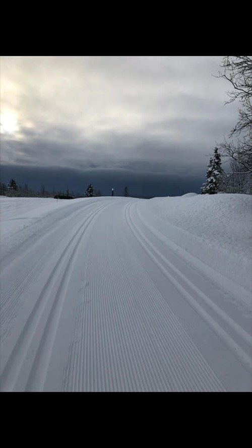 Bilder 09 03 19